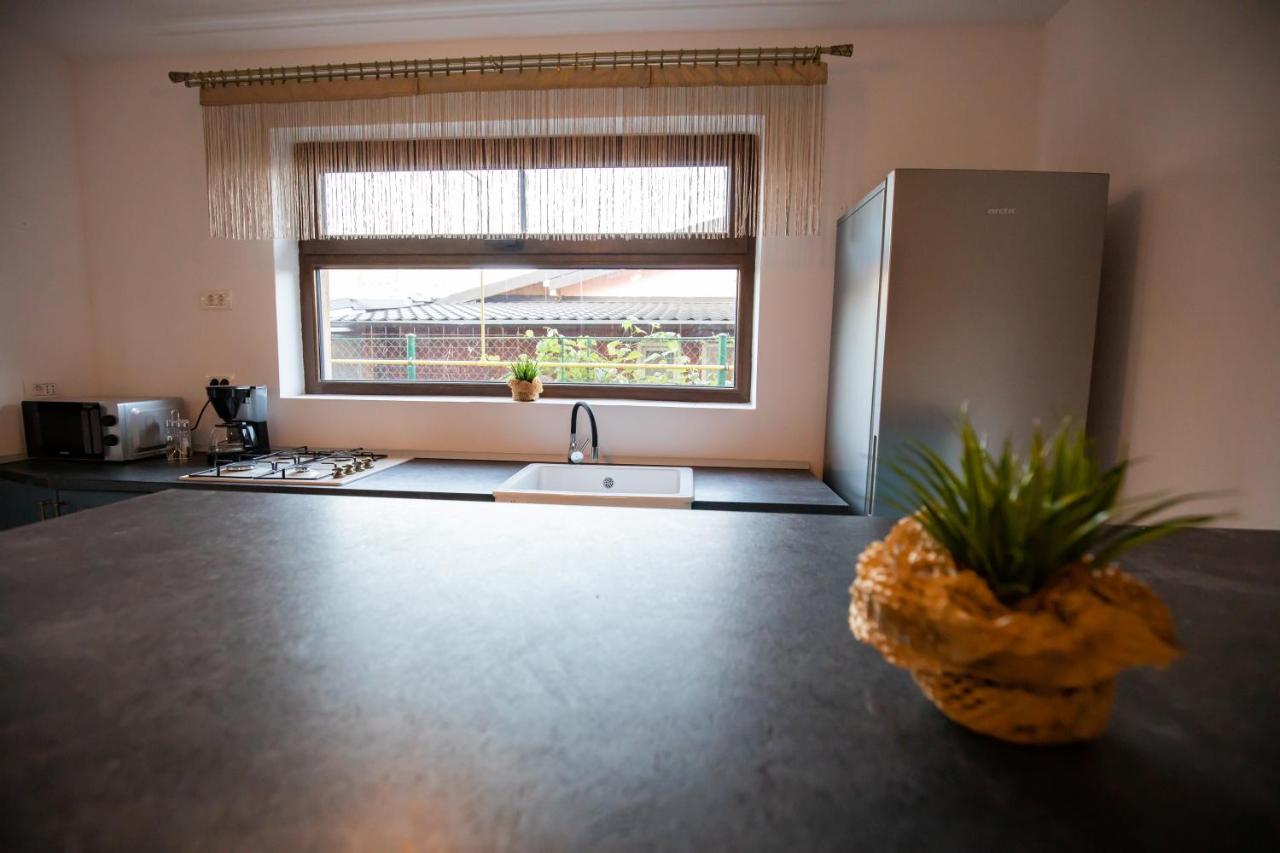 Dania&Petru Residence Тыргу-Окна Экстерьер фото